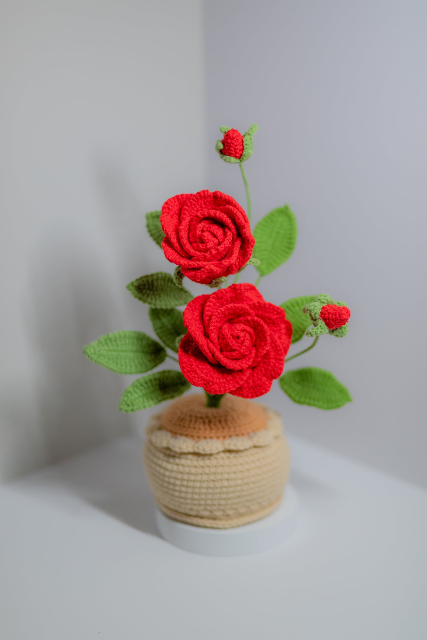 Crochet Rose Flower in Pot | Large (2 Flowers & 2 Buds)| Red, Pink, Light Pink, Yellow, Green