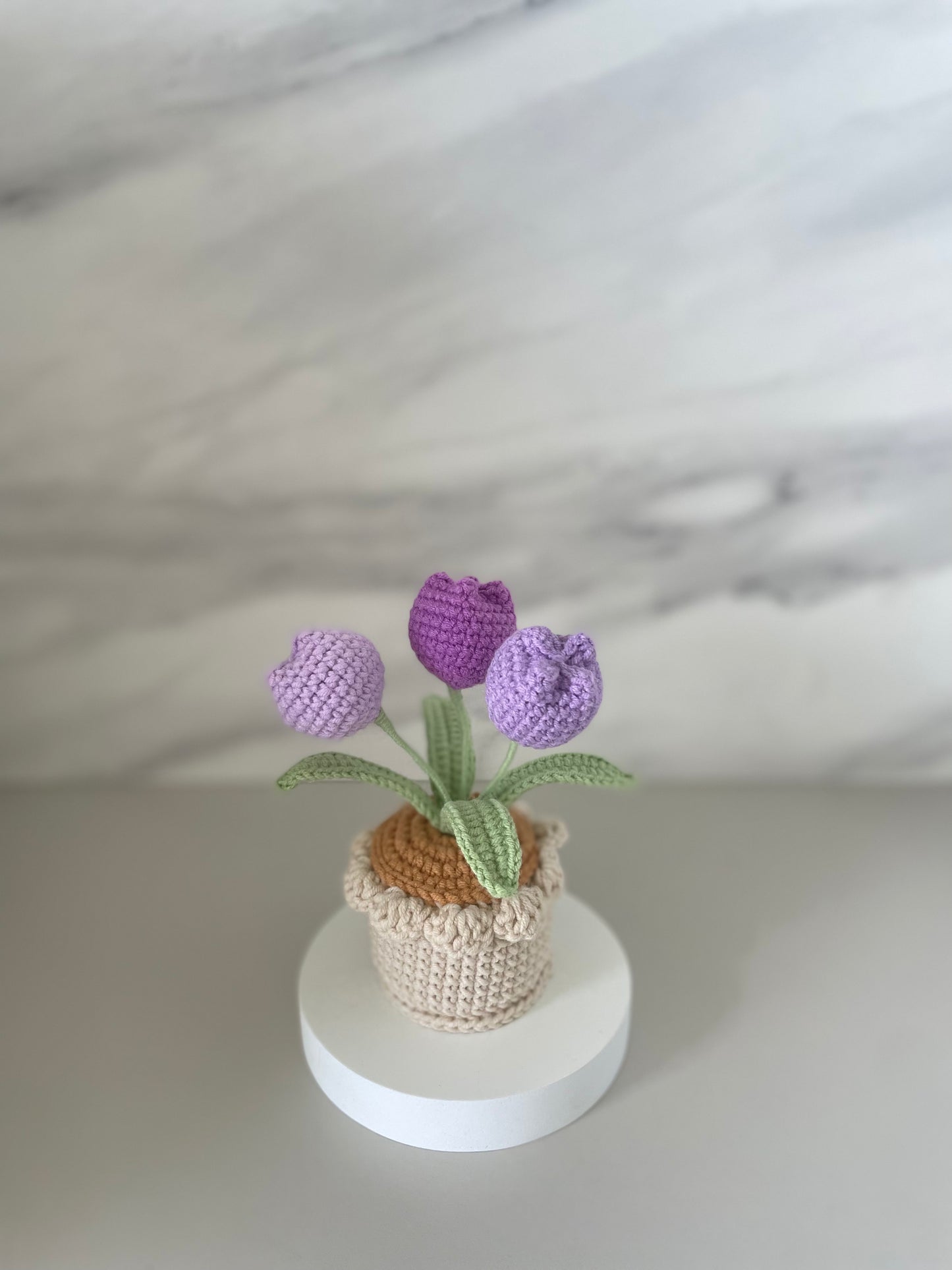 Handmade Crochet Tulip Flower Pot - 3 Tulips in Purple, Pink, Yellow, Blue, Red