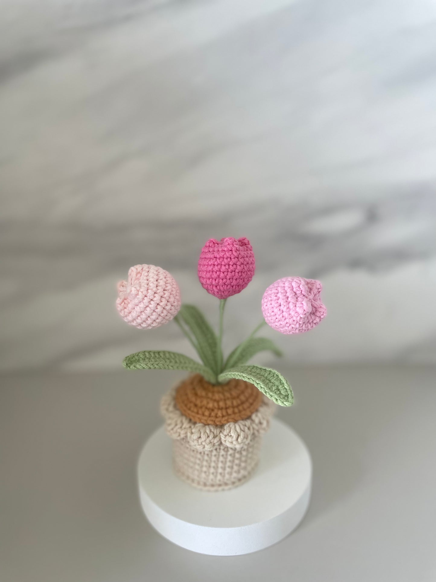 Handmade Crochet Tulip Flower Pot - 3 Tulips in Purple, Pink, Yellow, Blue, Red