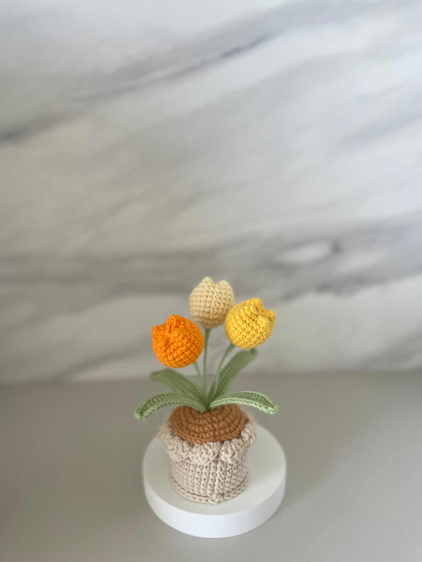 Handmade Crochet Tulip Flower Pot - 3 Tulips in Purple, Pink, Yellow, Blue, Red