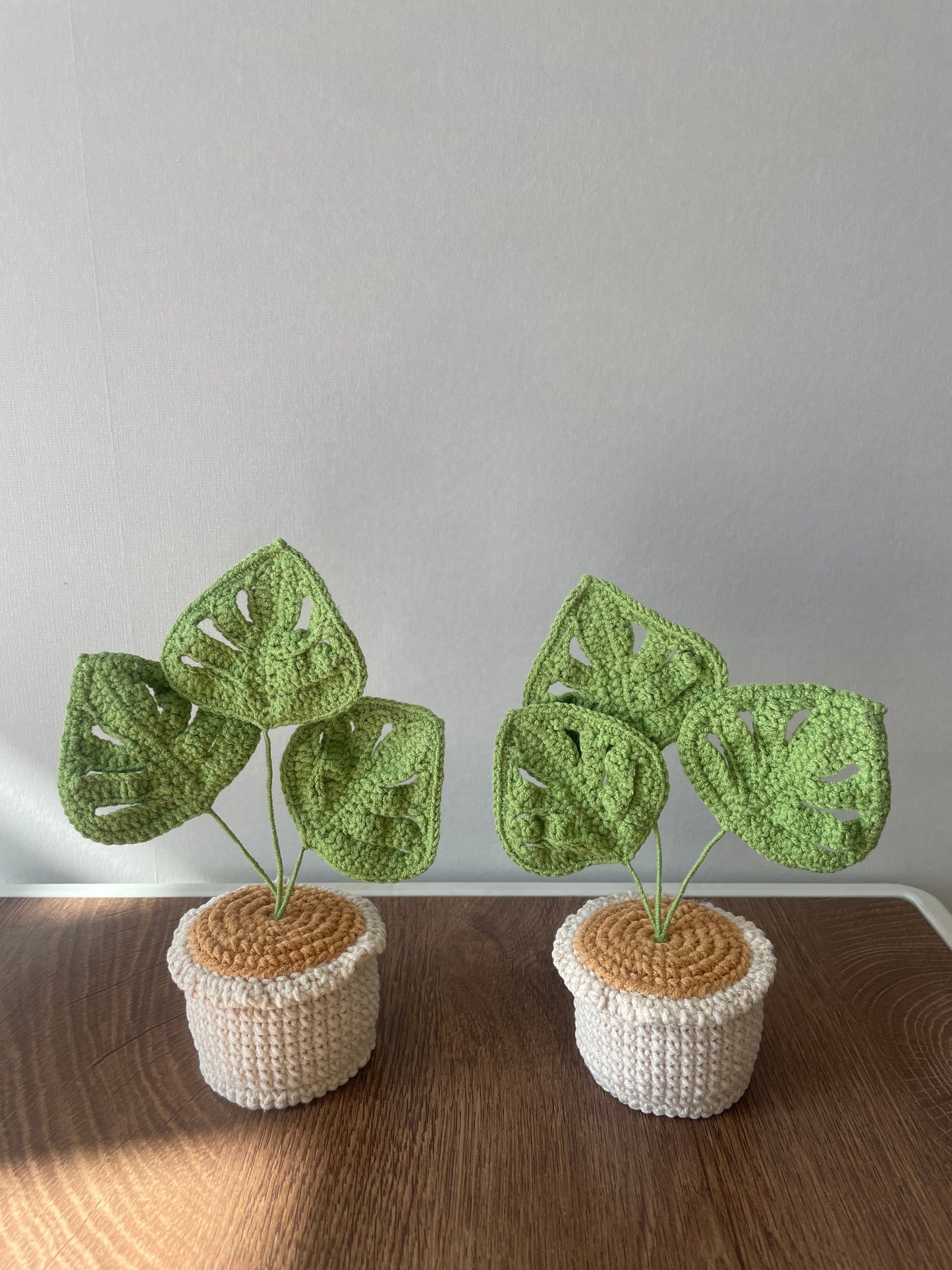 Crochet Mini Monstera Flower in Pot