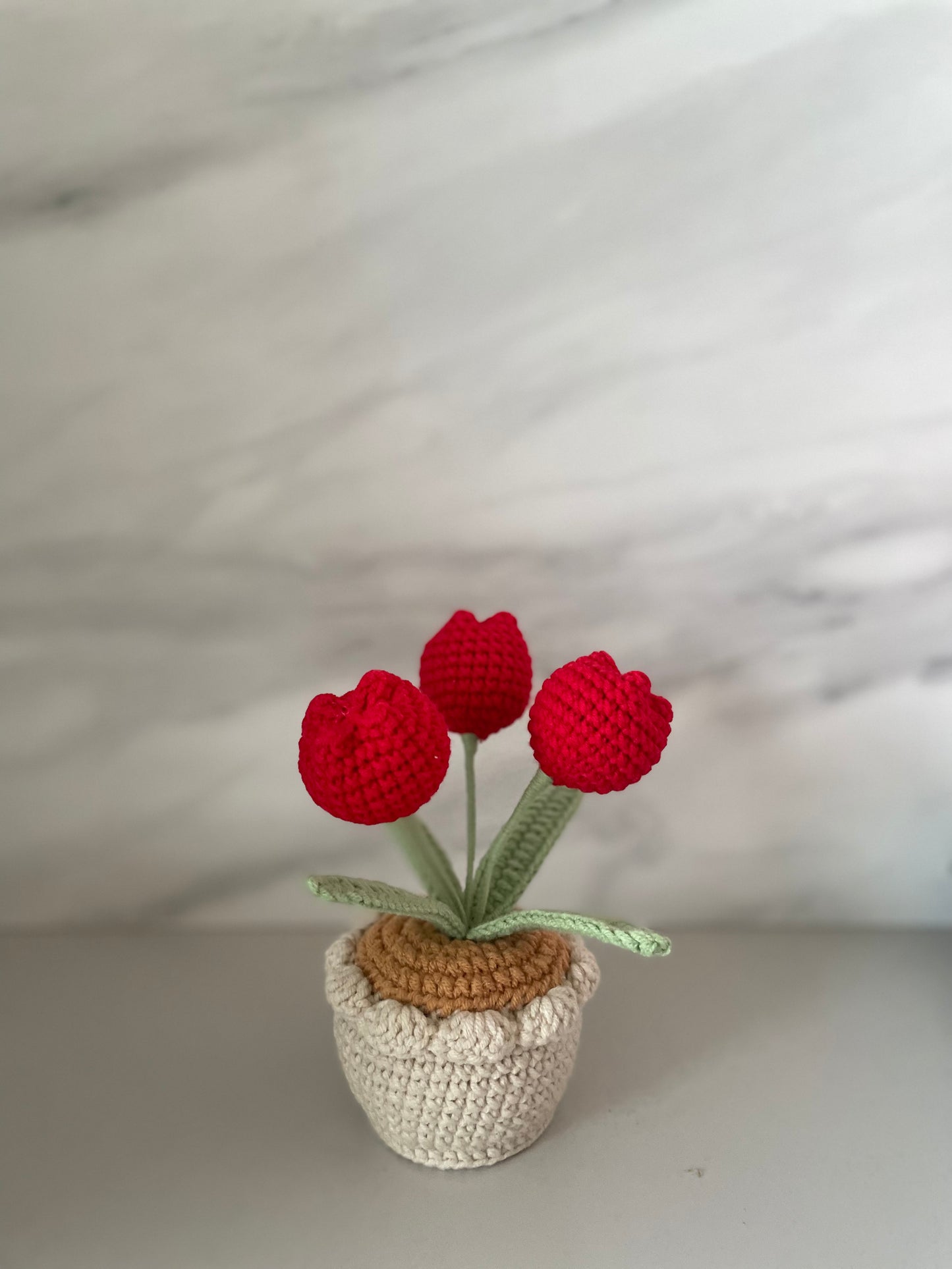 Handmade Crochet Tulip Flower Pot - 3 Tulips in Purple, Pink, Yellow, Blue, Red