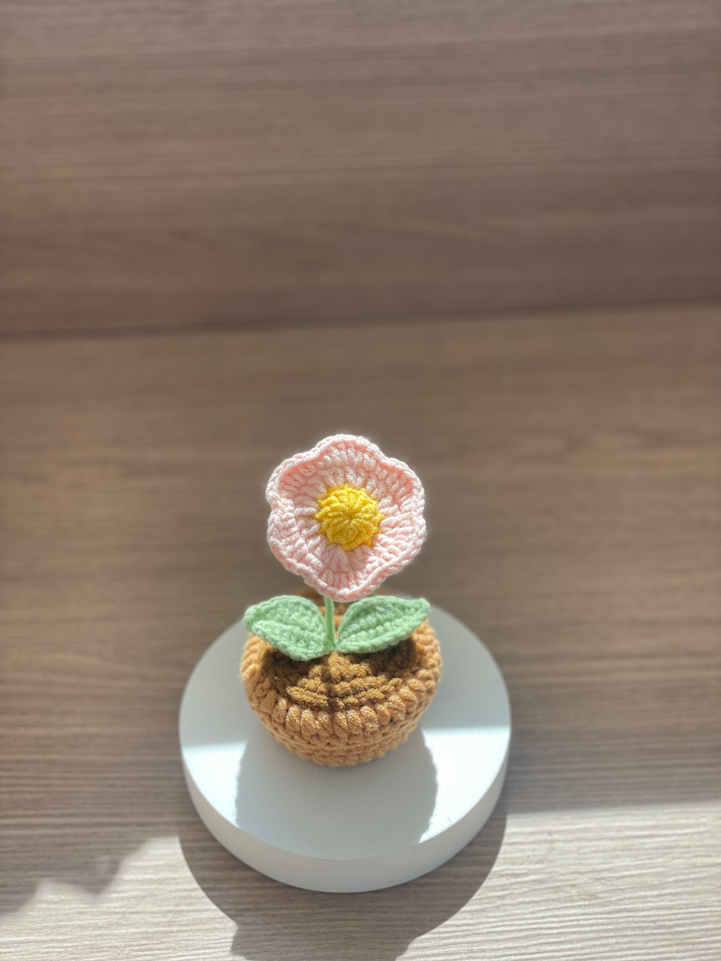 Mini fleur en pot au crochet | Violet, rose, blanc, bleu ou rouge