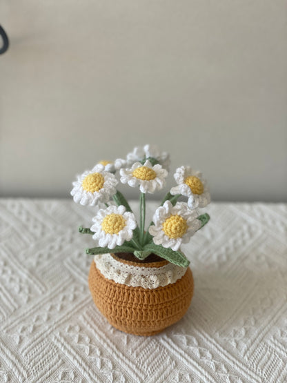 Handmade White Daisy Flower Pot - 7 Daisies