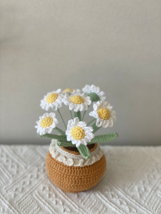 Handmade White Daisy Flower Pot - 7 Daisies