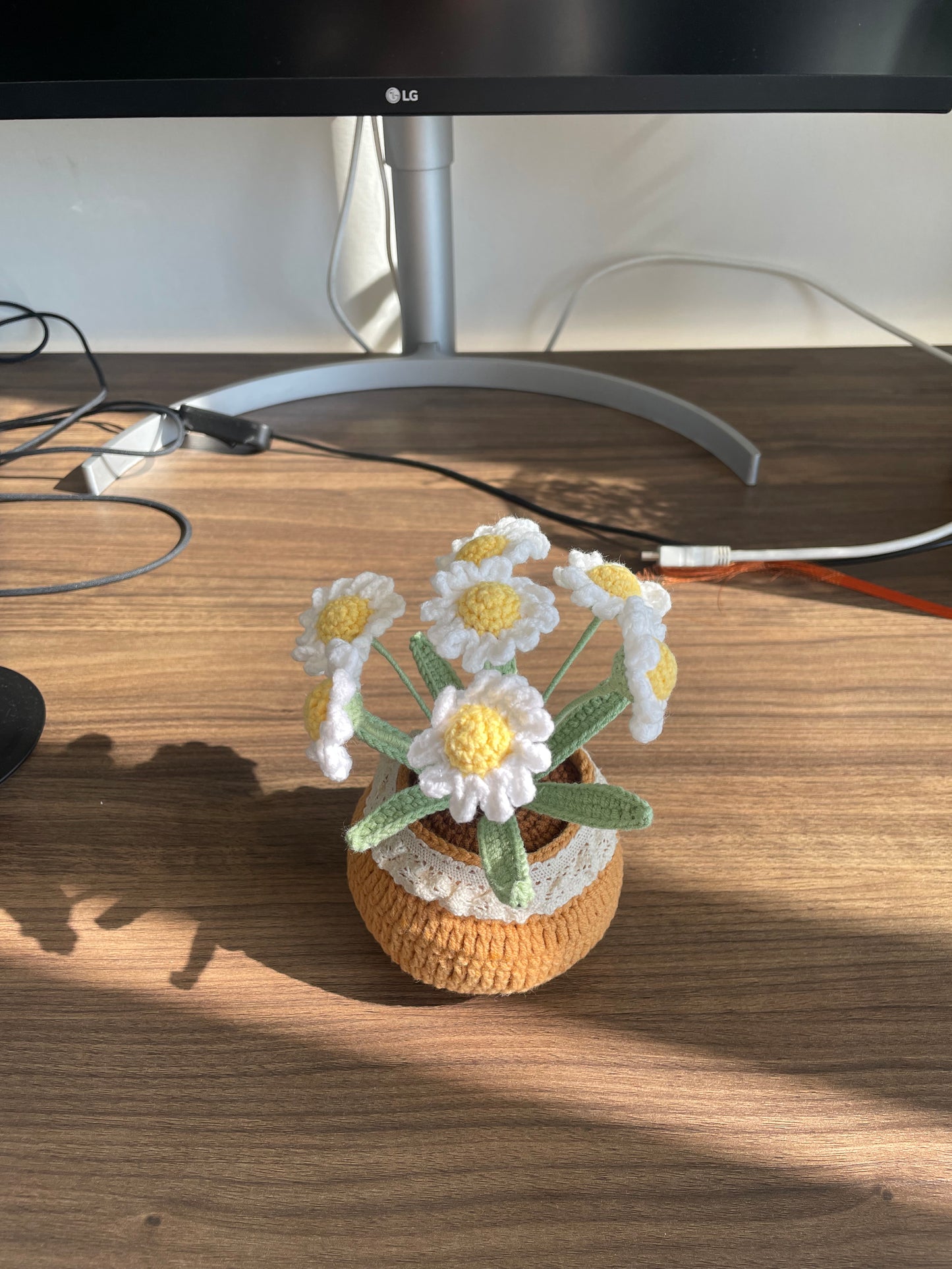 Handmade White Daisy Flower Pot - 7 Daisies