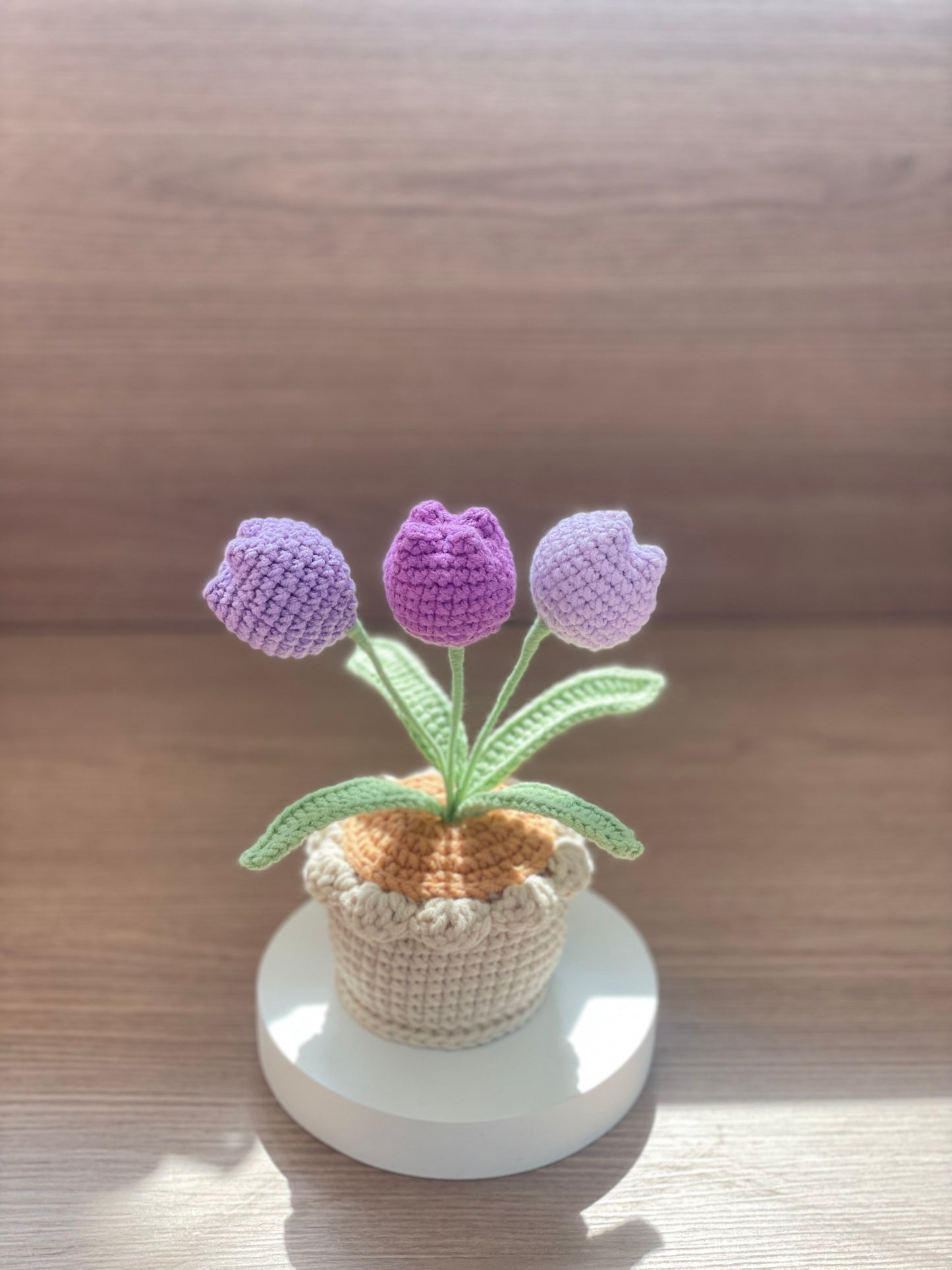 Gehäkelte Tulpenblumen im Topf (3 Blumen) | Lila, Rosa, Gelb, Blau, Rot