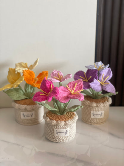 Crochet Flower Pot, Pink Tulip Orange Purple