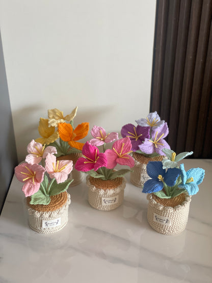 Crochet Flower Pot, Pink Tulip Orange Purple