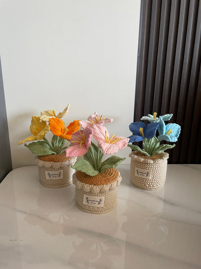 Crochet Flower Pot, Pink Tulip Orange Purple