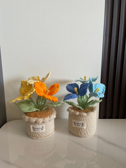 Crochet Flower Pot, Pink Tulip Orange Purple