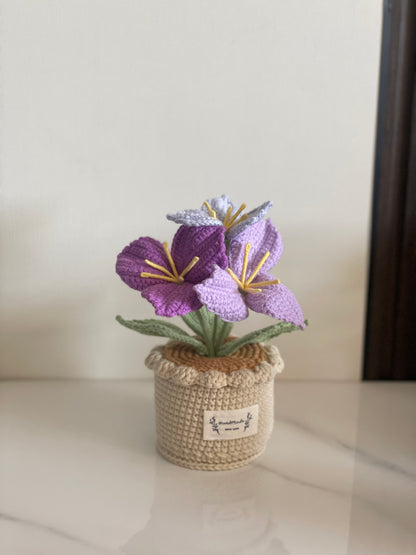 Crochet Flower Pot, Pink Tulip Orange Purple