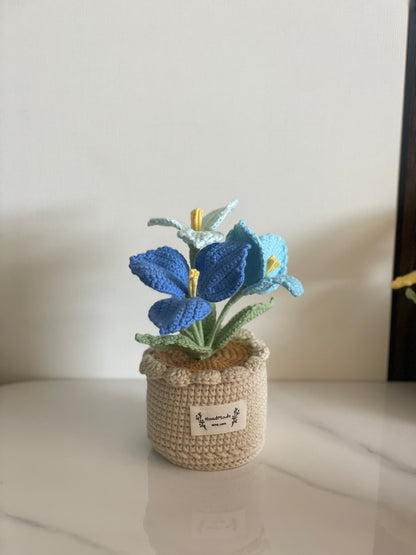 Crochet Flower Pot, Pink Tulip Orange Purple