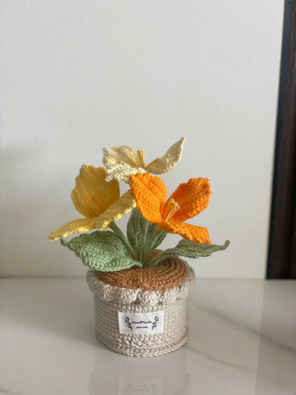 Crochet Flower Pot, Pink Tulip Orange Purple