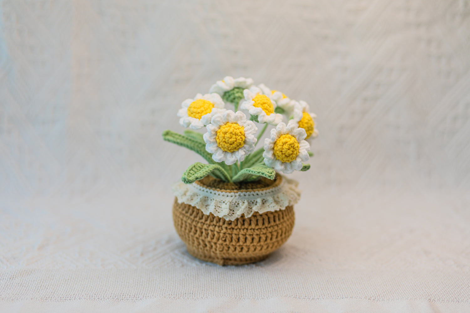 white crochet daisy flower in pot, crochet flower